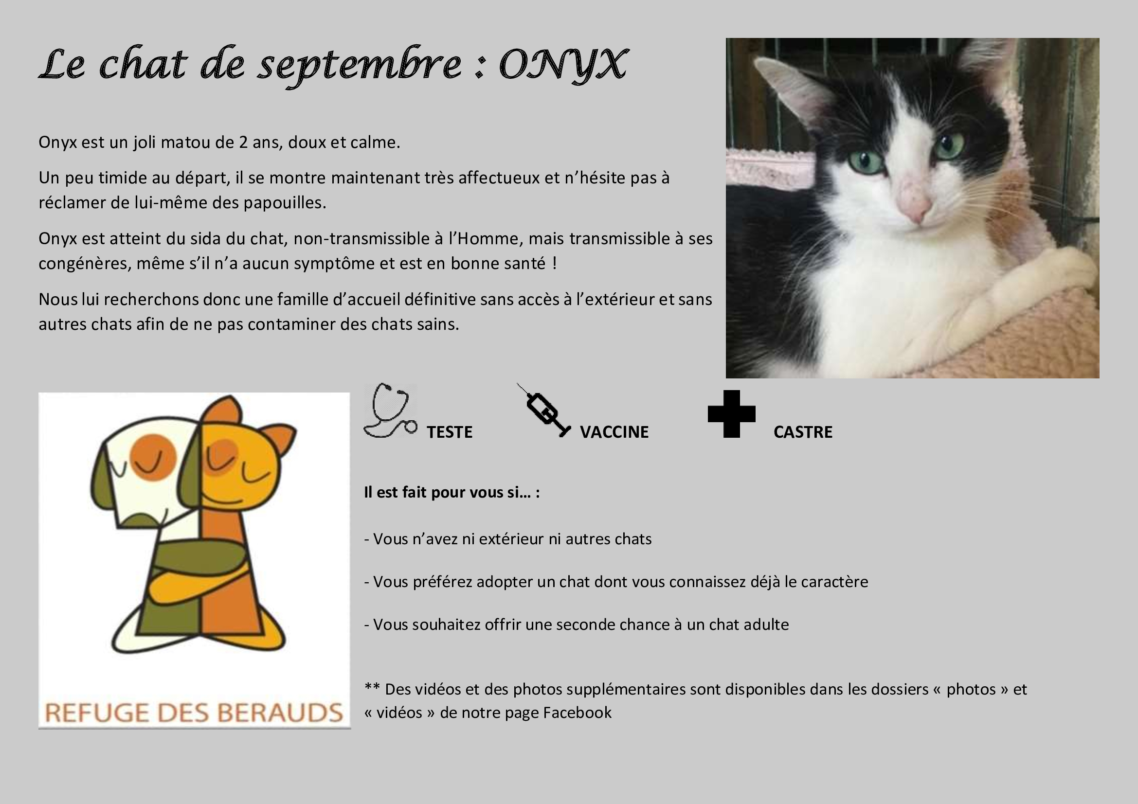 Le-chat-de-septembre-ONYX